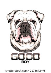 Cute english bulldog sketch. Vector illustration in hand-drawn style . Image for printing on any surface