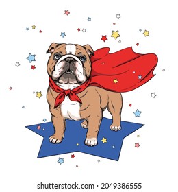 Cute english bulldog in superhero cape. Stylish image for printing on any surface	