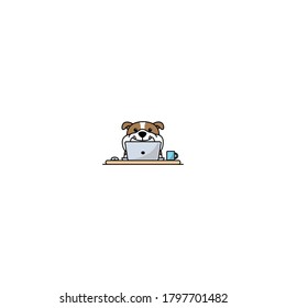 Cute english bulldog working on a laptop, vector illustration