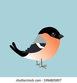 
Cute Eurasian bullfinch bird illustration. The background is soft blue