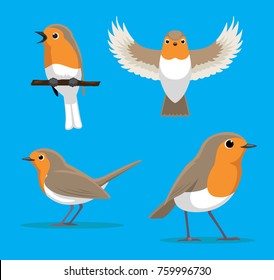 Cute European Robin Cartoon Vector Illustration