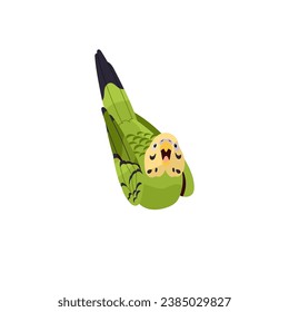 Cute excited budgerigar looking up top view. Funny budgie smile muzzle. Tropical parrot, little exotic bird with green feather. Happy animal, pet. Flat isolated vector illustration on white background