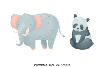 Cute exotic animals set. Elephant and panda bear cartoon vector illustration