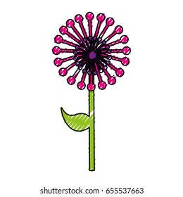 cute exotic flower dandelion