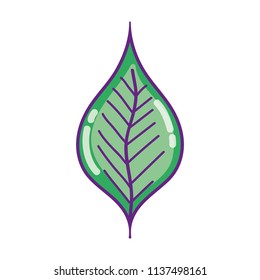cute exotic leaf nature design