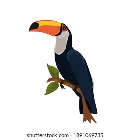 Cute exotic toucan with huge beak sitting on small stick.Vector illustration isolated on white background.