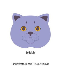 The cute face of the British shorthair cat. Vector illustration in a flat style. Image for design, postcards.