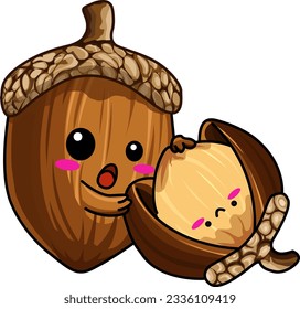 Cute face brown hazelnut vector illustration with cracked hazelnut isolated and transparent background for art, food, or educational purpose