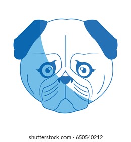 cute face dog pug pet aminal image