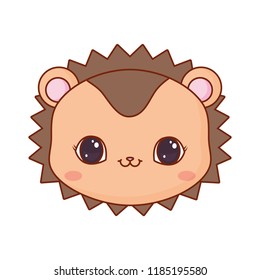 cute face hedgehog cartoon animal