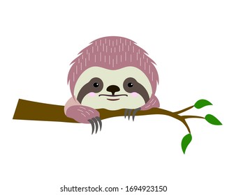 Cute face and paws of tropical Three-Toed Sloth on a tree branch. Vector illustration in cartoon style isolated on white background.