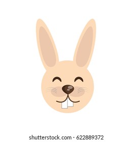 cute face rabbit animal cheerful