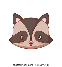 cute face raccoon cartoon animal