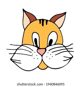 
Cute face of a red cat hand-drawn, pet, animals in doodle style, vector icon on a white background.