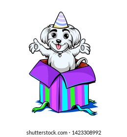 Cute face shih tzu dog birthday with gift