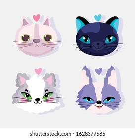 cute faces cats love domestic cartoon animal, collection pets vector illustration