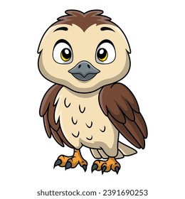 Cute falcon cartoon on white background