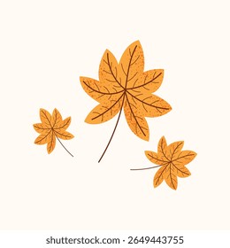Cute fall leaves. Autumn foliage in flat style. Decorative fall elements isolated on white background.
