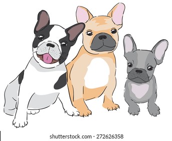 cute family of  bulldog, puppy and two French Bulldogs