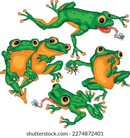 cute family frogs animals cartoon vector illustration collection funny cartoon design1 1	
