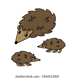 Cute family of three brown doodle cartoon hedgehogs. Vector outline isolated hand drawn female, baby kids animals illustration on white background