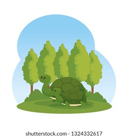 cute family turtles in the field wild characters
