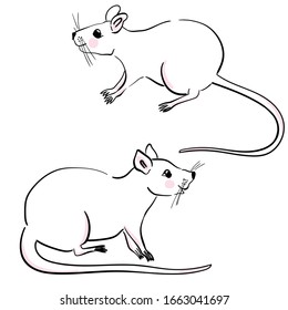 Cute Fancy rat Poses Cartoon Vector Illustration