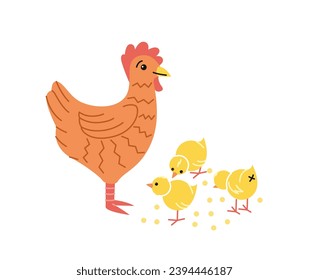 Cute farm animal. Poster with mother chicken and little yellow chicks. Agricultural bird or poultry. Hen lays eggs. Farming in village. Cartoon flat vector illustration isolated on white background