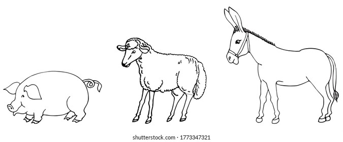 Cute farm animals in black and white, for coloring. For card or gift. Donkey, sheep, pig. 