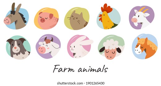 Cute farm animals with face expressions, domestic animal avater collection, cow, sheep and pig illustrations for badges for kids.