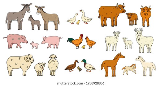 Cute farm animals families isolated on white background. Vector cartoon outline doodle animals collection: donkey goose cow ox pig hog chicken hen rooster goat sheep duck horse for children's book