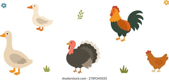 Cute farm birds collection including goose, duck, turkey, rooster and hen. Colorful cartoon animal set in flat style for agriculture, farming, children education and rural design.
