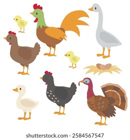 Cute farm birds collection vector cartoon illustration