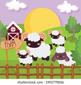 cute farm sheeps in the farmyard