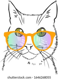 Cute fashion cat with rainbow glasses 