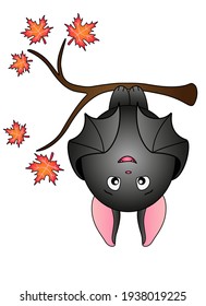 Cute fat bat hangs upside down on a maple branch - vector full color illustration. A bat on an autumn tree getting ready for bed - funny illustration for children.