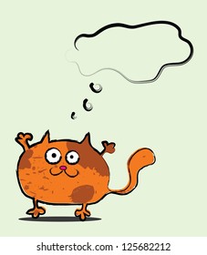 Cute fat cat