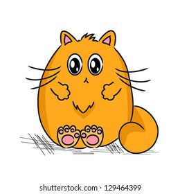 cute fat cat