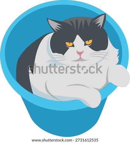 Cute fat cat in blue bucket, funny domestic pet illustration, Grumpy Tuxedo Cat Portrait, flat vector animal graphic, cozy home feline art, isolated kitty character, design material, graphic resource, raw picture, editable image 