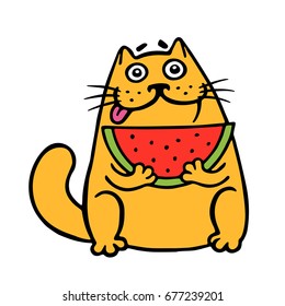 Cute fat cat eats watermelon. cat. Funny cartoon cool character. Contour freehand digital drawing. White color background. Isolated vector illustration.
