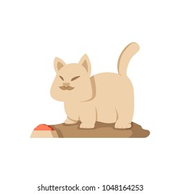 Cute fat cat illustration vector isolated with mustache and fat body also pet food, suitable for your cat pet content