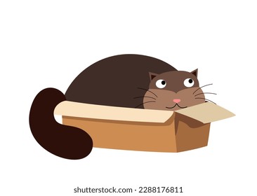 Cute Fat cat inside box. Funny kitty sitting in cardboard package. Amusing feline animal pet in open carton pack. Adorable kitten in container. Flat vector illustration isolated on white background