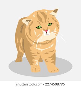 cute fat cat sleepy cartoon illustration. full body. pet, animal. for print, sticker, poster, and more.