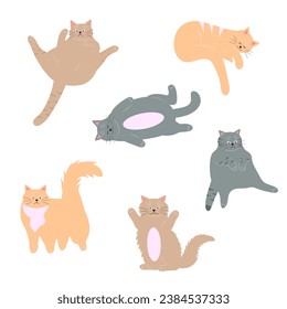 Cute fat cats set. Lazy fluffy funny cartoon characters in different poses. 