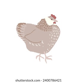 Cute fat chicken with texture on white background. Flat hen hand drawn vector illustration. Easter chicken. Design element.