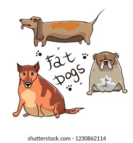 Cute fat dogs in vector