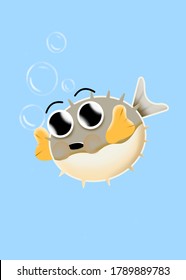 cute fat fugu from japan