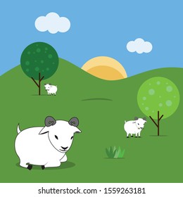 Cute Fat Lambs Playing and Grazing, Illustration Vector