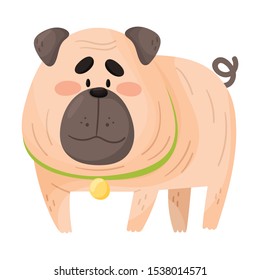 Cute fat pug. Vector illustration on a white background.