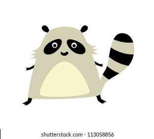 cute fat raccoon